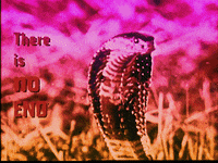 MarissaK pink retro mood trippy GIF