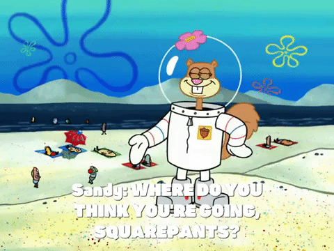 season 6 dear vikings GIF by SpongeBob SquarePants