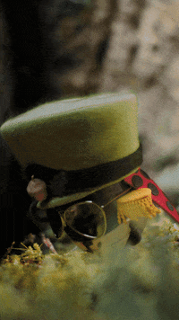 GIF by ASN Bank