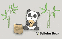 BellabuBear panda cookies cookie monster bellabubear GIF