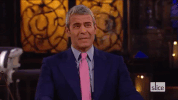 slice andy rhony real housewives of new york andy cohen GIF