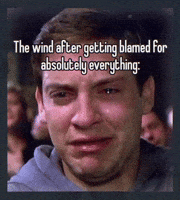 Sad Cry GIF