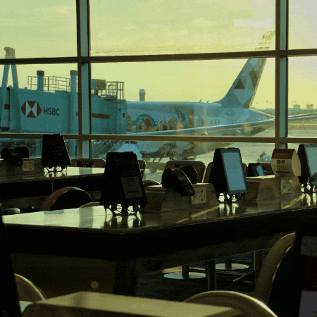 brian-o-kane giphygifmaker giphyattribution GIF