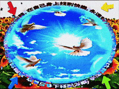 MattyFurious giphyupload glitch surreal birds GIF