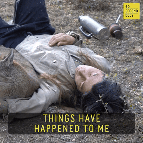 Animal Rescue GIF by 60 Second Docs