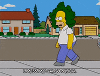 homer simpson GIF