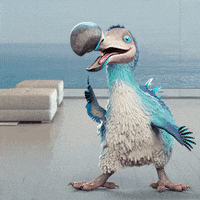 Oh Yeah Yas GIF by Dodo Australia