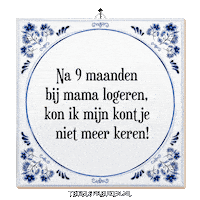 Baby Humor Sticker by Tegelspreuken.nl