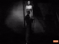 Black Cat Horror GIF by Turner Classic Movies