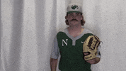 Collegebaseball Ncaadii GIF by RiverHawk Sports