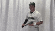 Collegebaseball Ncaadii GIF by RiverHawk Sports