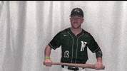 Collegebaseball Ncaadii GIF by RiverHawk Sports