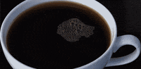 flying flight attendants GIF