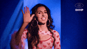 Granhermanovip GIF by Mediaset España