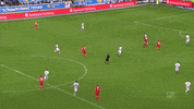 fckoeln football soccer goal bundesliga GIF