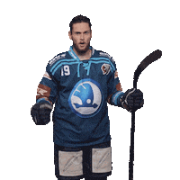 Hockey Hokej Sticker by HC Škoda Plzeň