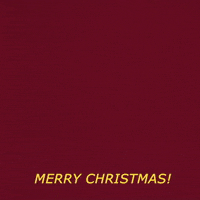 Merry Christmas GIF by OppoSuits