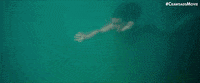 Life Crawdads GIF by Sony Pictures