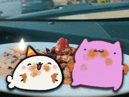 Birthday Cake Cat GIF