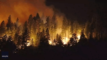 Growing Wildfire Scorches Forest in Butte County, California