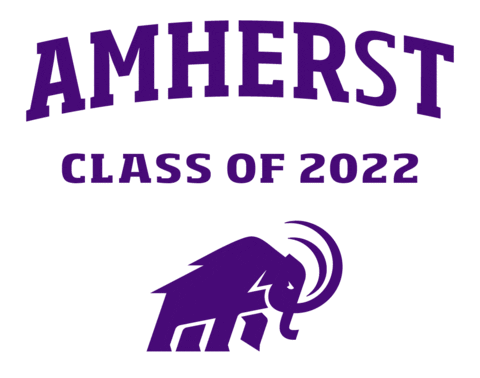 Class Of 2022 Sticker by Amherst College