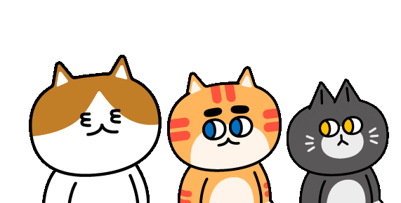 Cat Kitty Sticker by 궁디팡팡 캣페스타