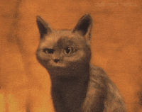 Shocked Puss In Boots GIF