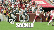 National Football League GIF by Washington Commanders