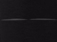 Cartoon gif. Owl's eyes open wide and the camera pans out to show it menacingly standing on a branch. It puffs up as the moon shines down on it and leaves whip in the wind.