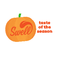 Pumpkin Sticker by swellgelato