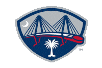 Echl Lets Go Rays Sticker by SCStingrays