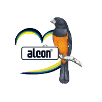 Alcontudodebom Sticker by Alcon Pet Food