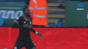 Happy Celebration GIF by MolaTV