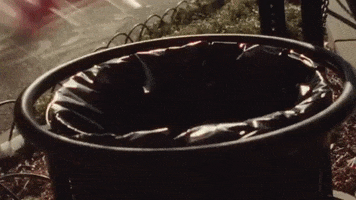 New York Friends GIF by Evann McIntosh