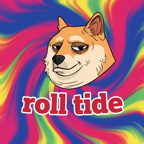 College Football Dog GIF by Doge Pound