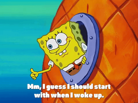 season 3 missing identity GIF by SpongeBob SquarePants