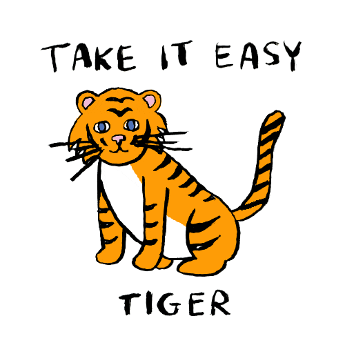 Take It Easy Tiger Sticker by Aerie