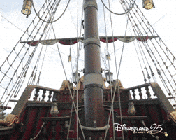 disneylandparis halloween omg running disneyland GIF