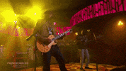 reservoirmedia  GIF