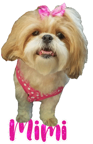 Dog Mimi Sticker