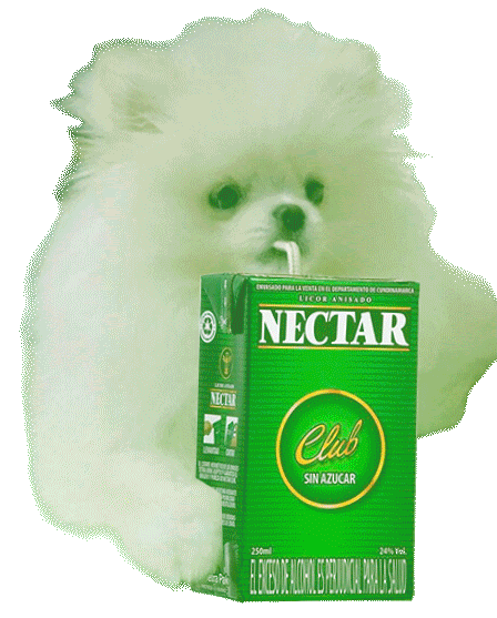 AguardienteNectarOficial giphyupload nectar aguardiente guaro Sticker