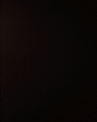 linneabullion halloween spooky creepy spider GIF