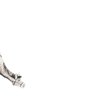 Horse Sticker