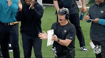National Football League GIF by NFL