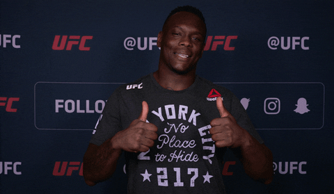 Ufc 217 Smile GIF by UFC