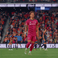 Happy St Louis GIF by St. Louis CITY SC