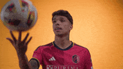Vamos St Louis GIF by St. Louis CITY SC