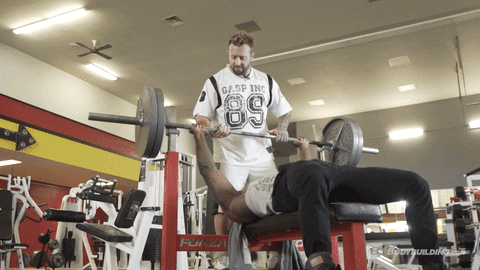 muscles GIF by Bodybuilding.com