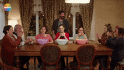 Kuzeyyıldızıilkaşk GIF by Show TV