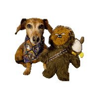 Star Wars Daschund Sticker by Geekster Pets